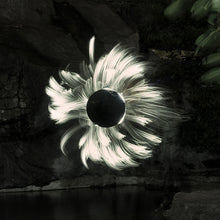 Load image into Gallery viewer, LLP lightpainting brush Starter kit  for diy photography