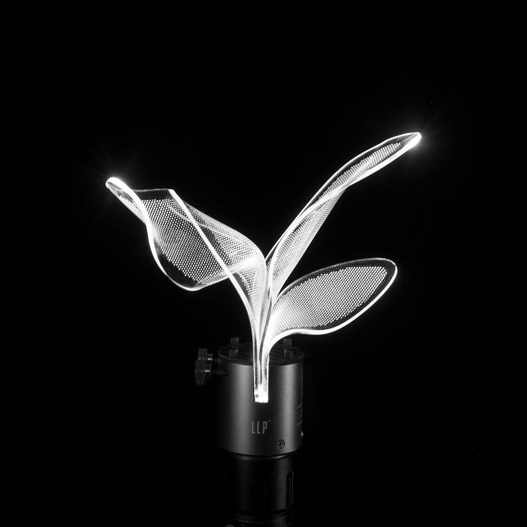 LLPyoung -LIGHTKNIFE KIT-FLOWER-lightpainting new series